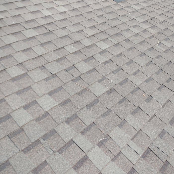 Overhead view of a gray asphalt shingle roof.