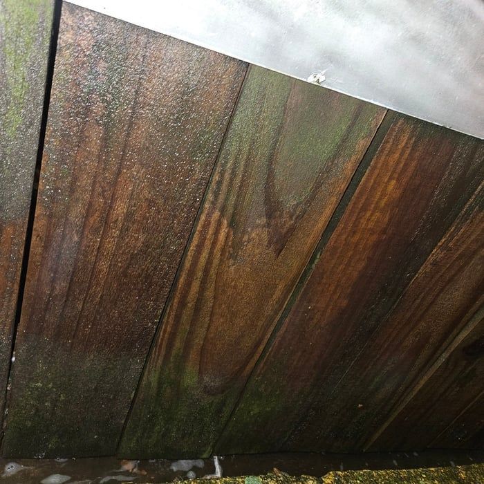 Wooden planks with visible grain, covered in patches of green moss, viewed from below.