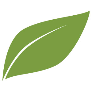 Green leaf logo on a white background
