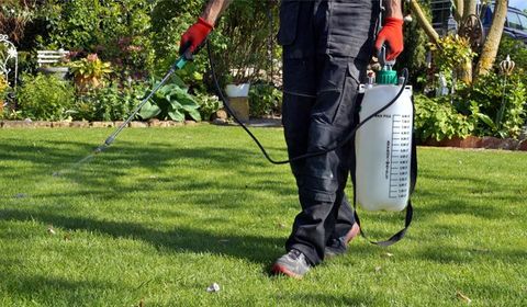 Spraying Pesticide On Grass Lawn — Palm Harbor, FL — Atlantic Pest Control and Lawn Spraying Inc