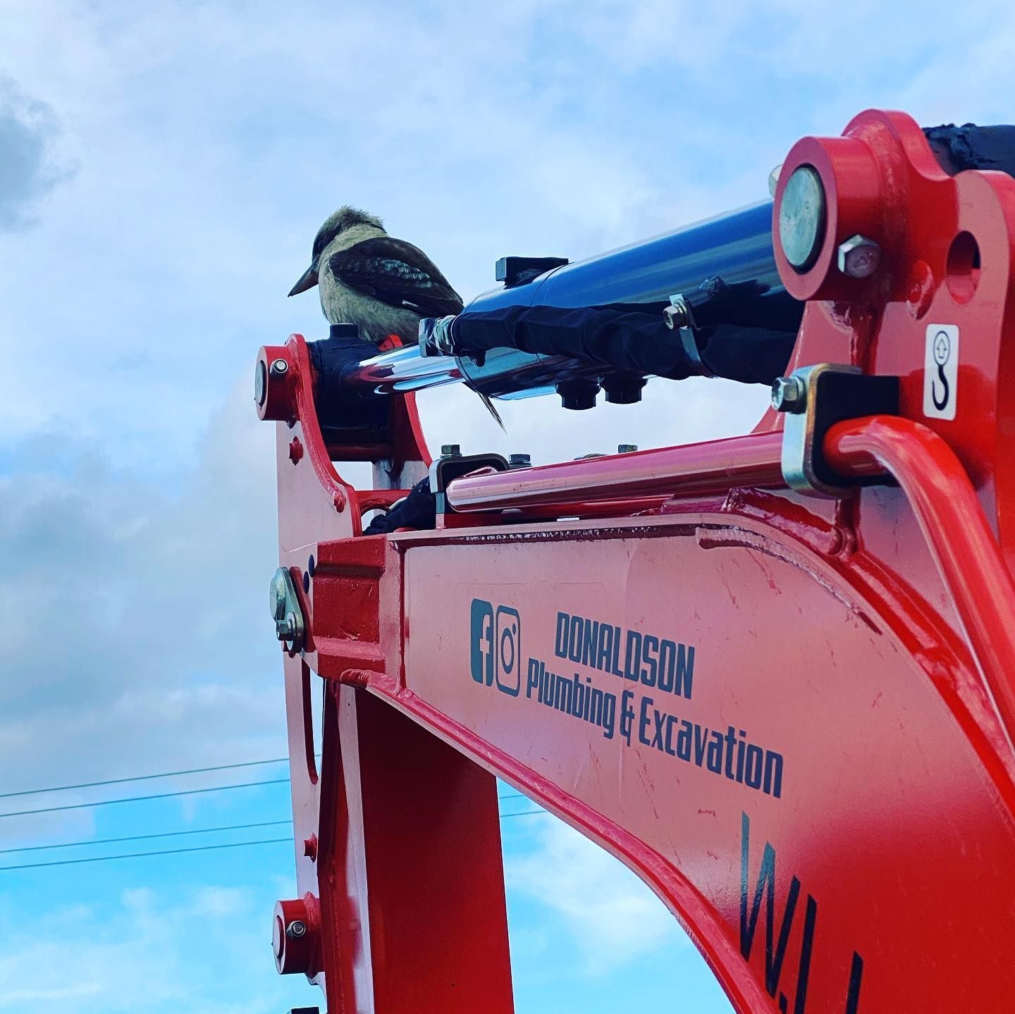 Bird Perched on Top of a Red Excavator That Says Donaldson Plumbing & Excavation — Donaldson Plumbing & Excavations in Kergunyah, VIC
