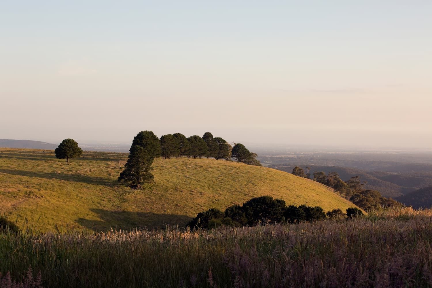 Lush Green Hillside With Trees on It and a Field — Donaldson Plumbing & Excavations in Chiltern, VIC
