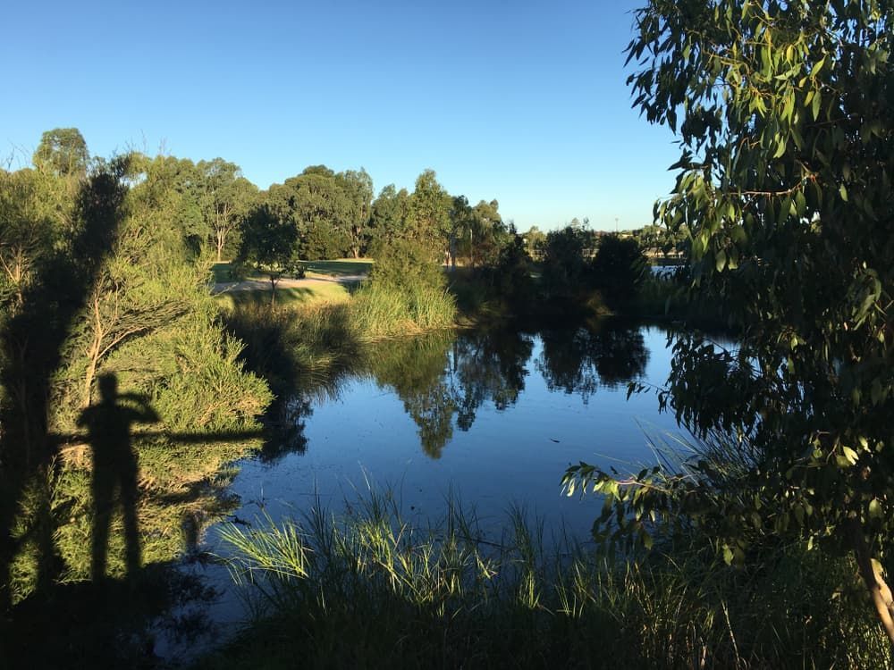 Shadow of a Person is Cast on a Body of Water Surrounded by Trees — Donaldson Plumbing & Excavations in Kiewa, VIC