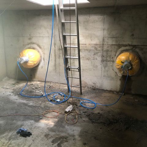 There is a Ladder in the Middle of the Room — FlowWise in Caloundra, QLD