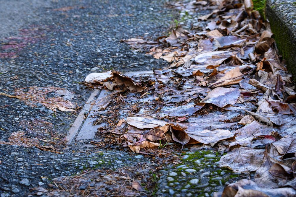 A Pile of Leaves on the Side of a Road — FlowWise in Caloundra, QLD