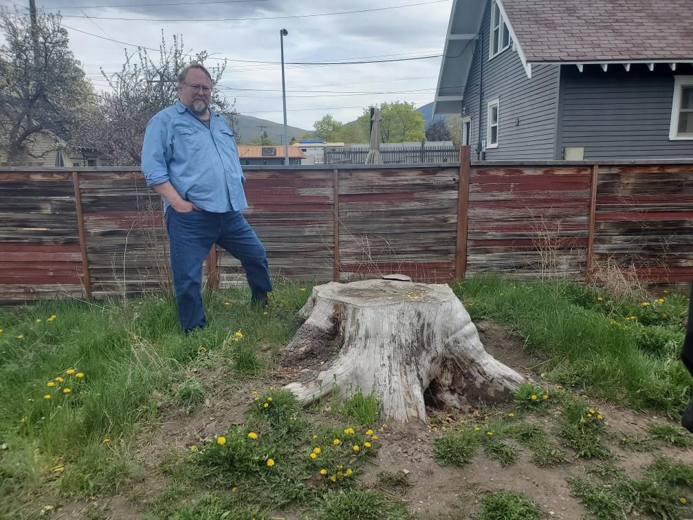 Stump Removal — Missoula, MT — Shrubs Plus