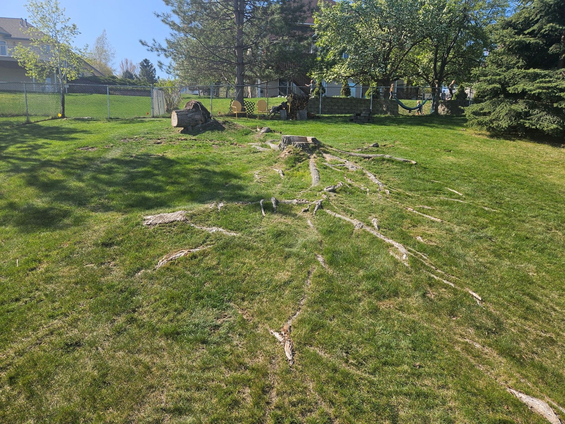 Stump Removal — Missoula, MT — Shrubs Plus