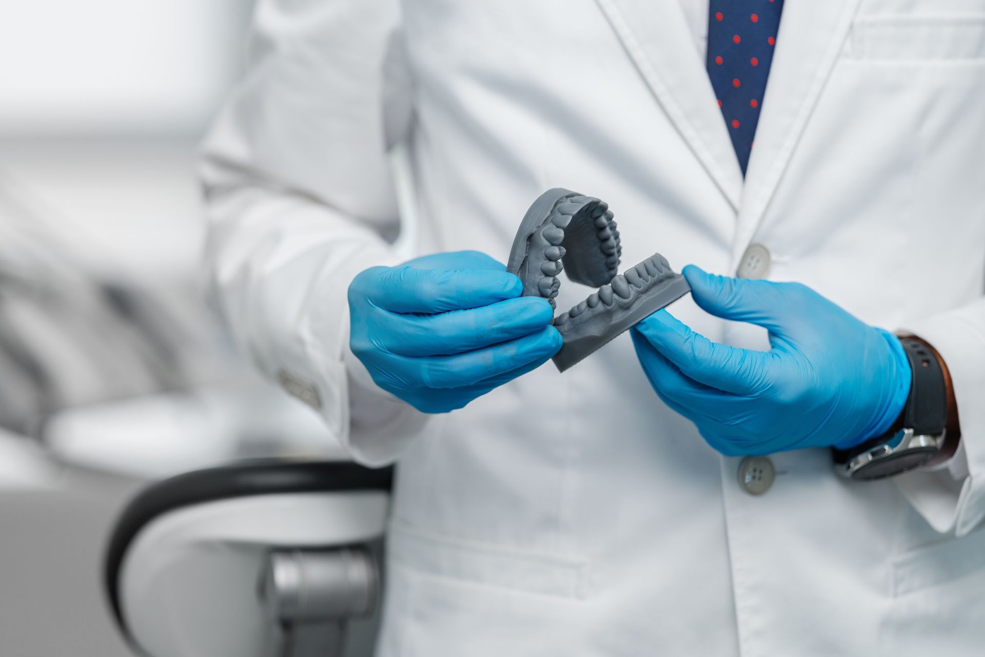 A dentist is holding a 3d model of teeth in his hands.