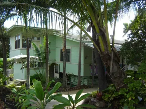 A green house surrounded by palm trees and plants