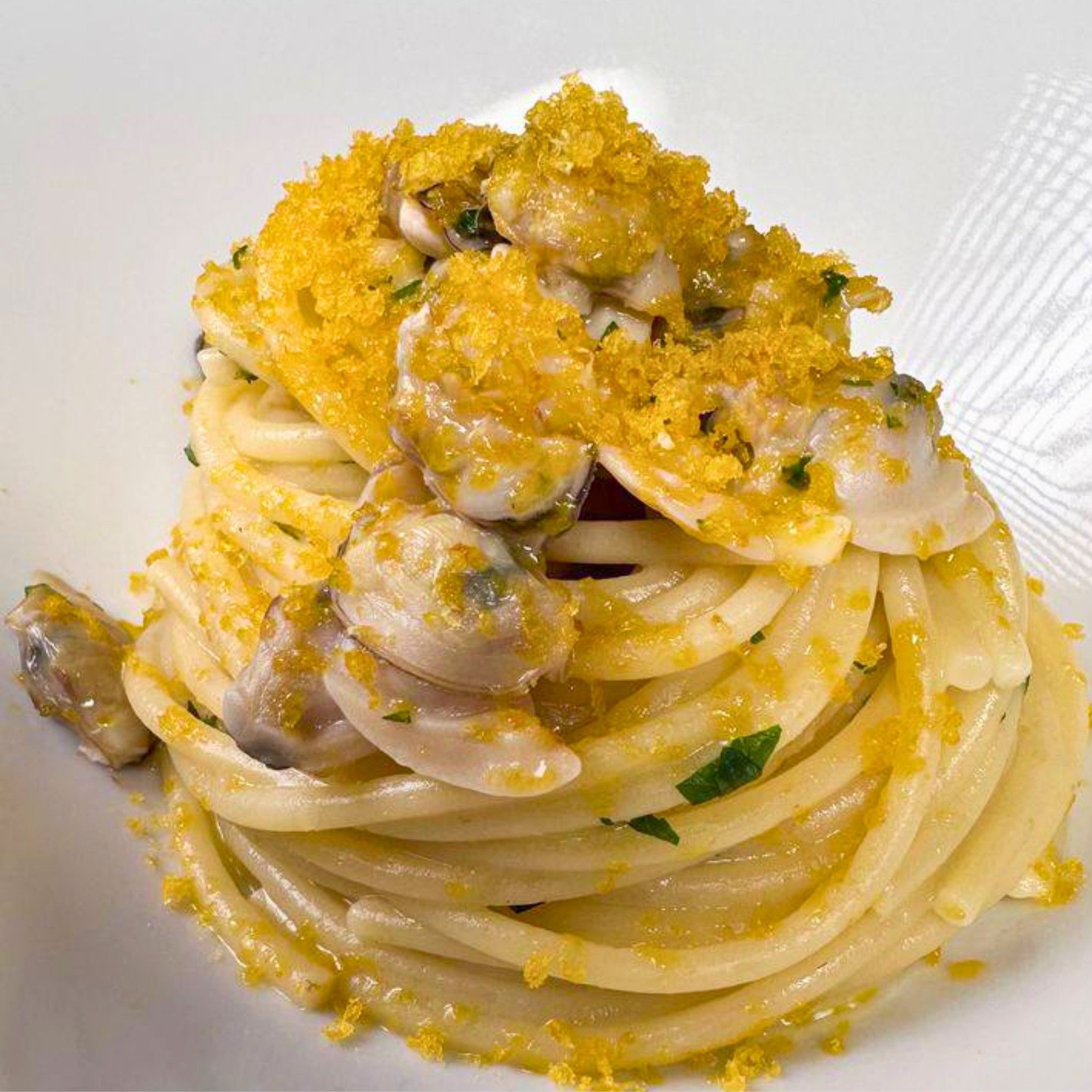 Primo piano di un piatto bianco con sopra spaghetti e salsa.