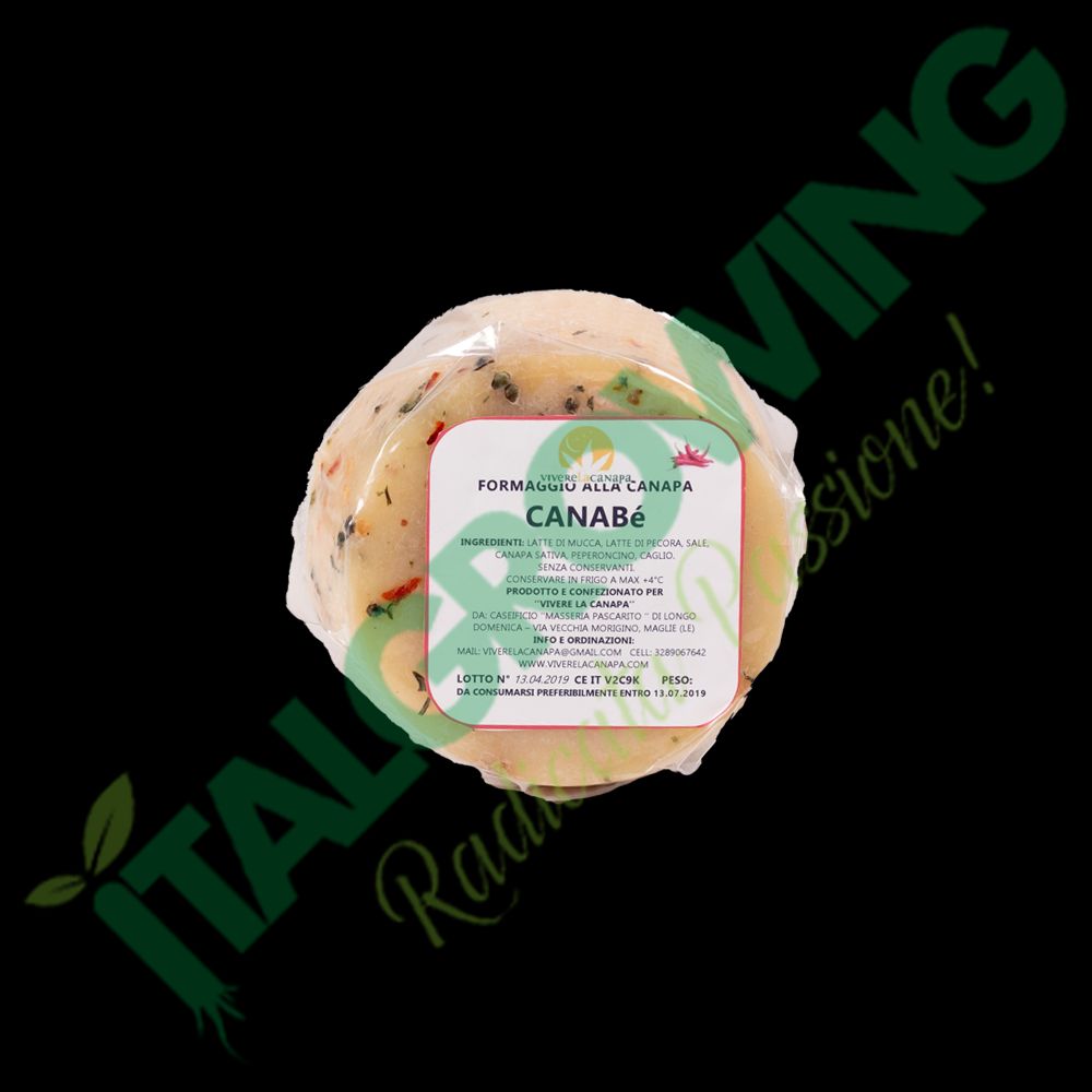 formaggio pecorino alla canapa