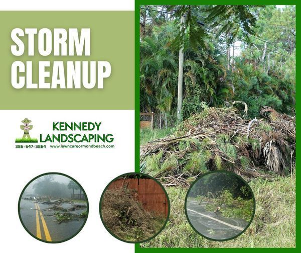 storm cleanup