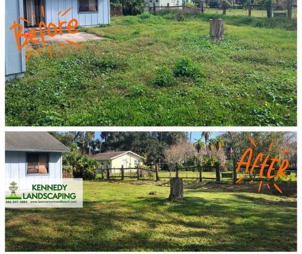 A before and after picture of a lawn with a house in the background