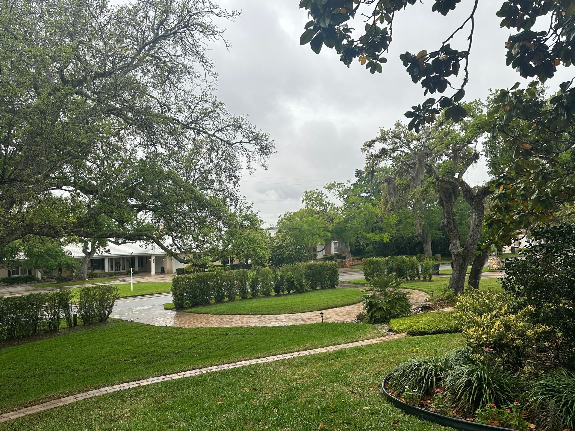 A lush green lawn with trees and bushes and a path leading to a house.