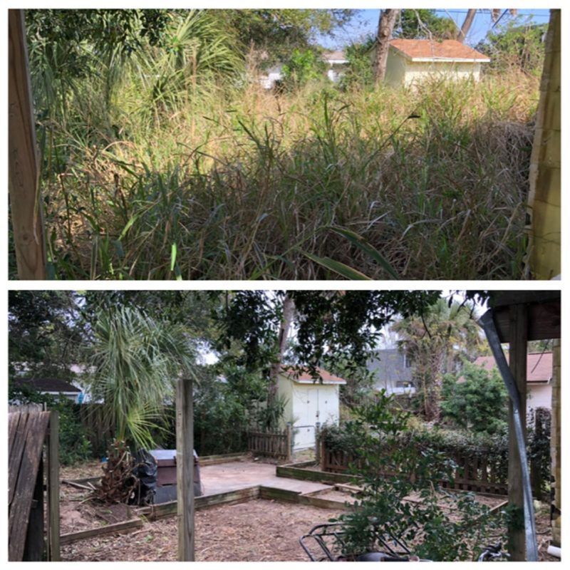 before and after trimming