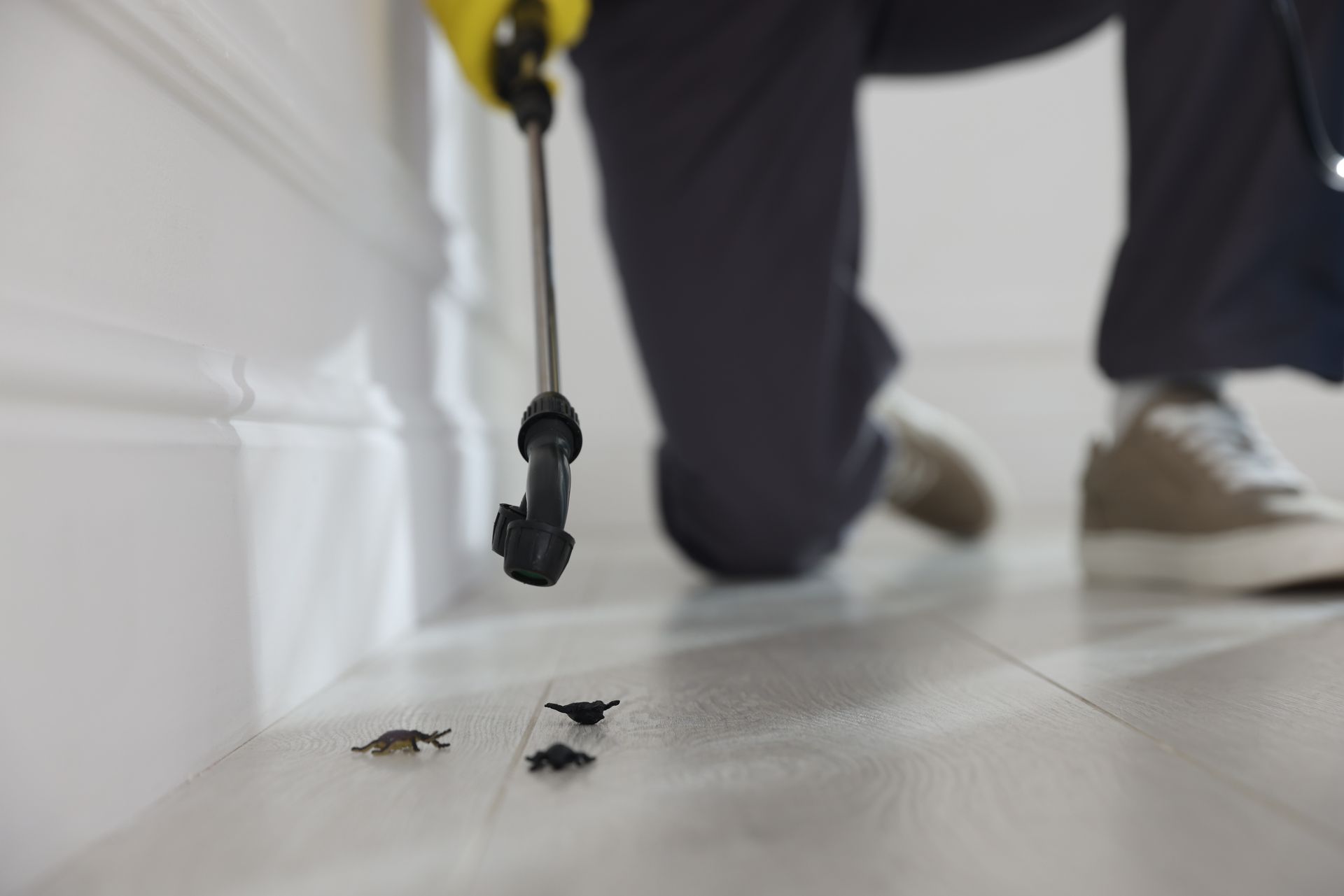 Professional spider control service technician spraying baseboards to eliminate household pests.