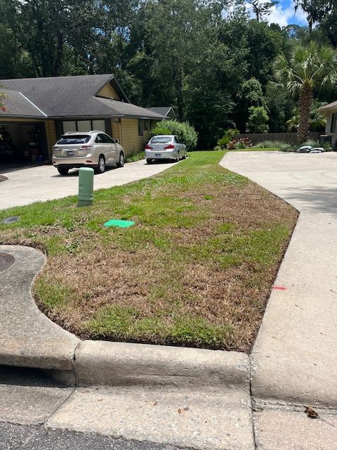 A curb with a brown and green grass lawn, two cars in a driveway, and trees in the background.