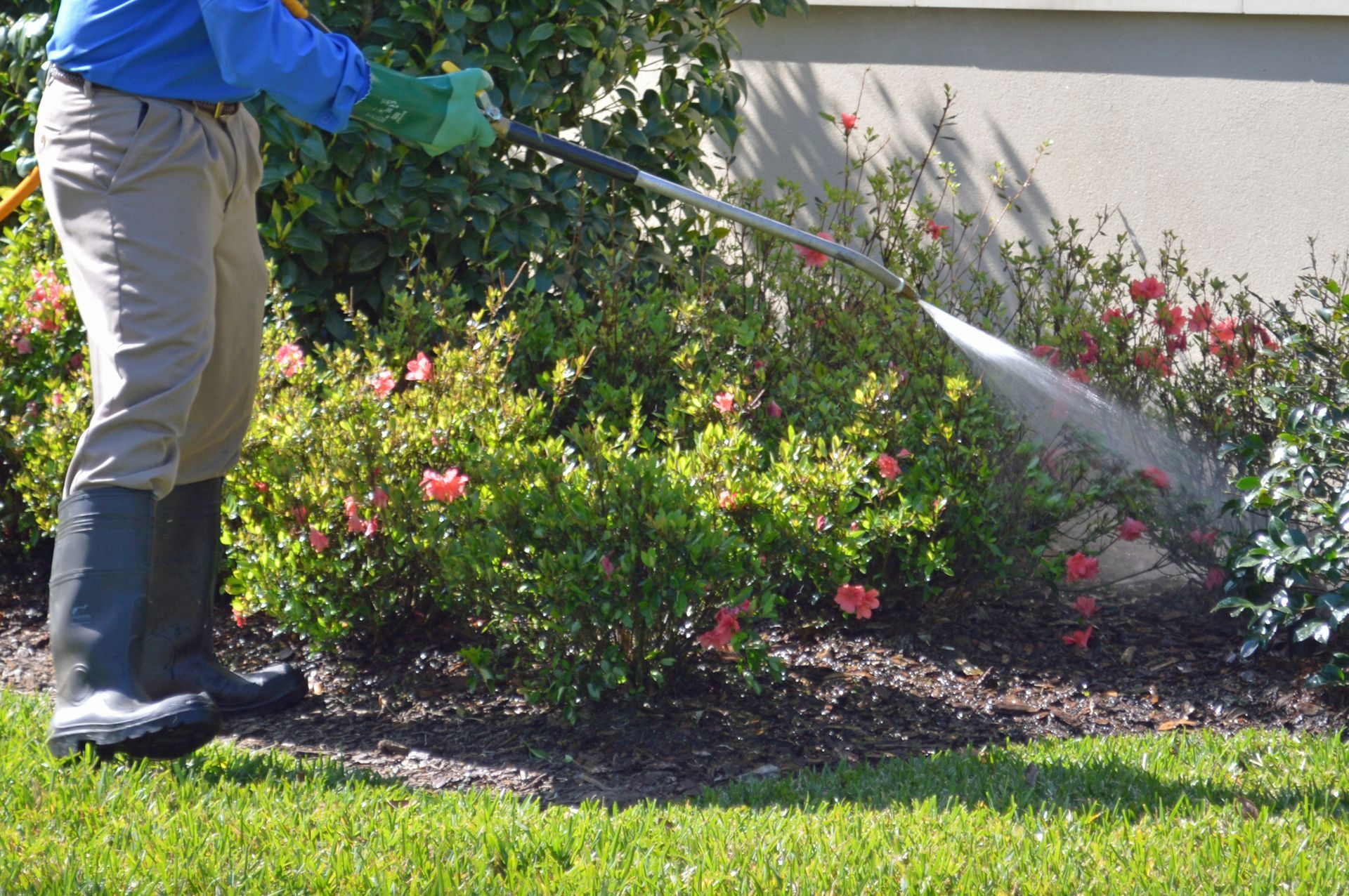 Gainesville Pest Control's lawn treatment in Gainesville, FL 