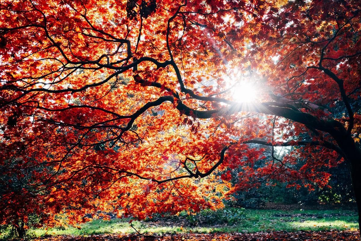 The sun is setting over the ocean and the waves are crashing on the beach.