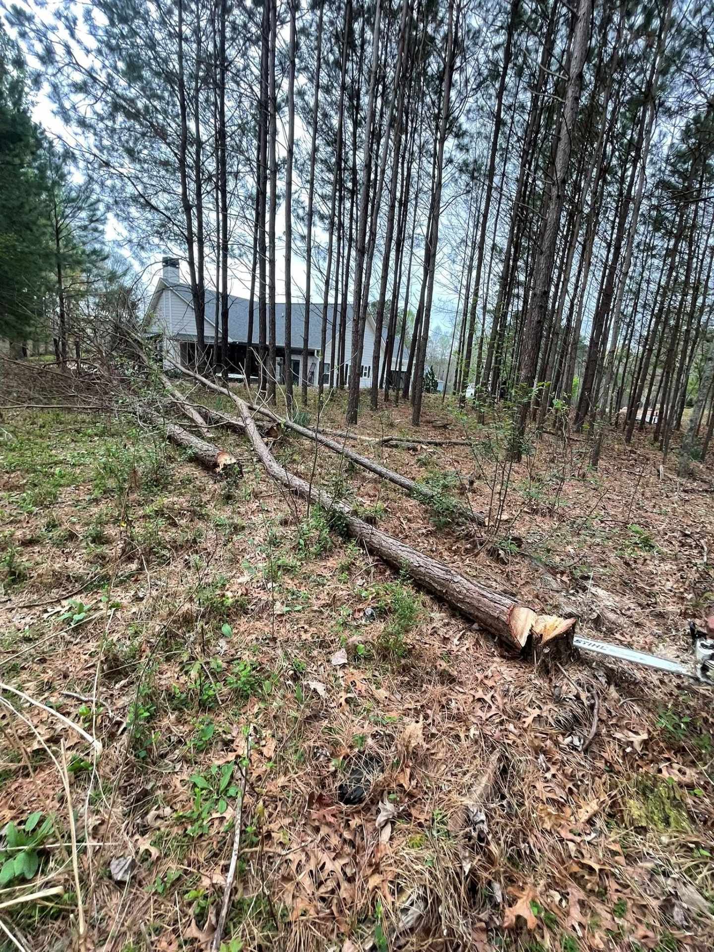Woman in straw hat smiles, holding wine glass near a lake.