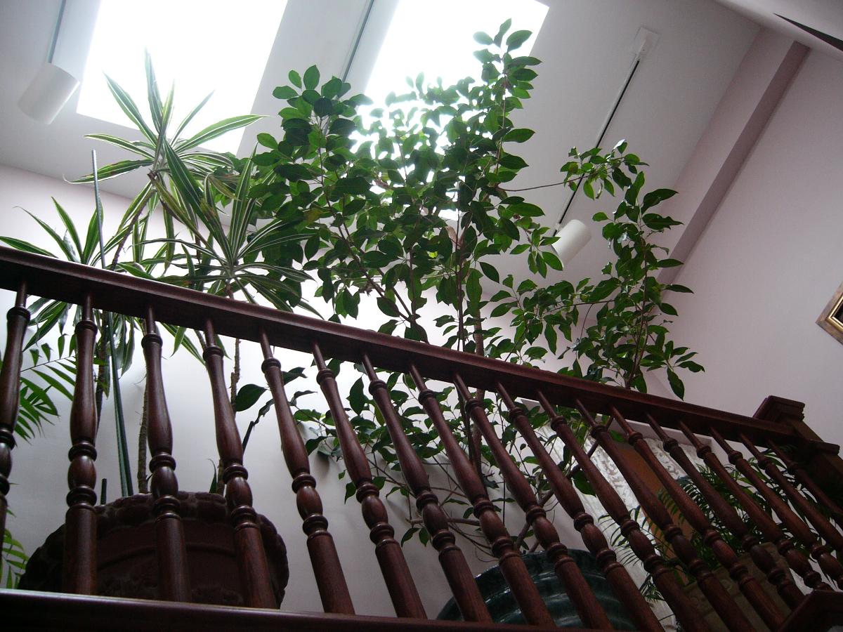 Delaware building railing