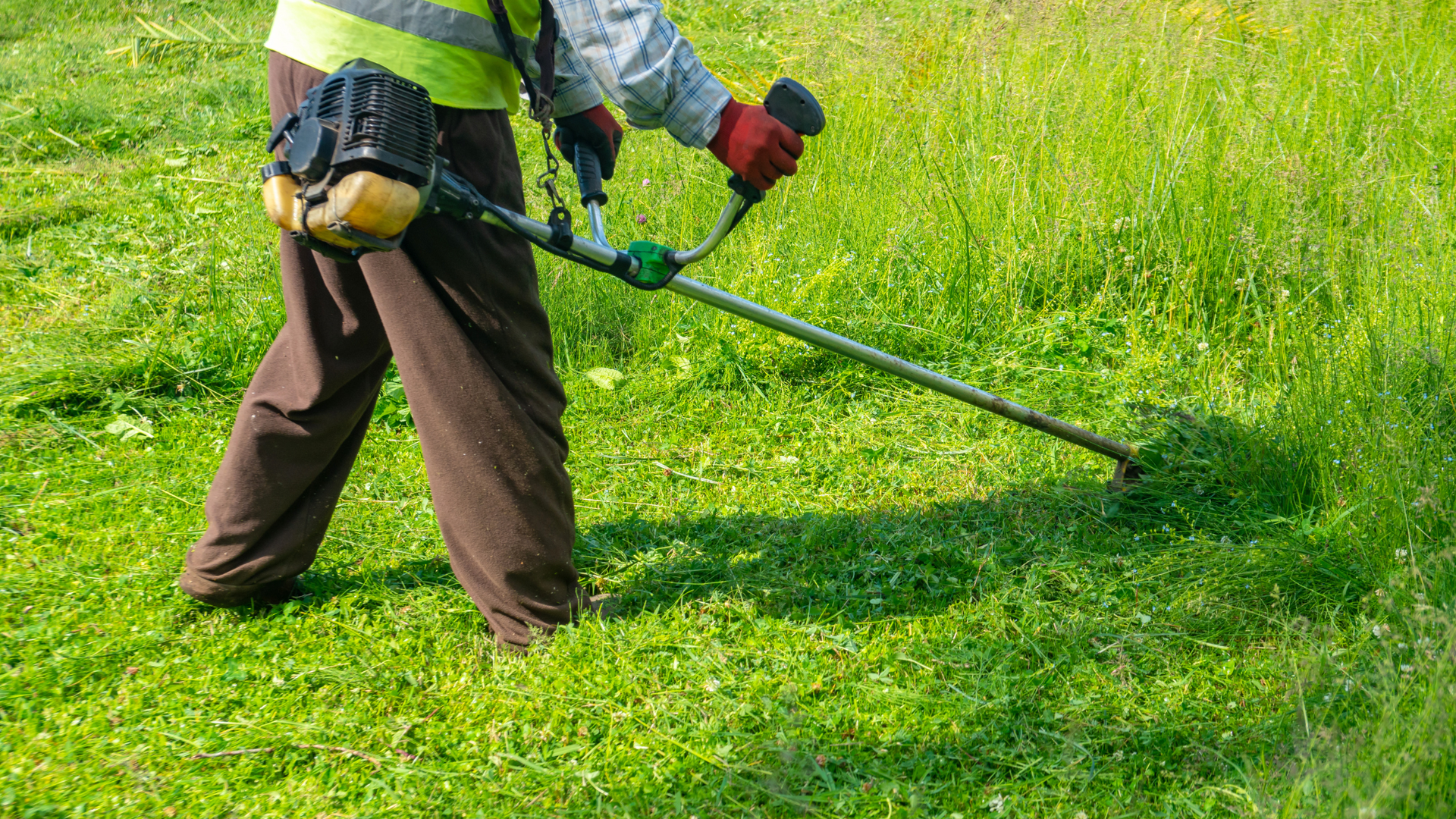 Cutting grass