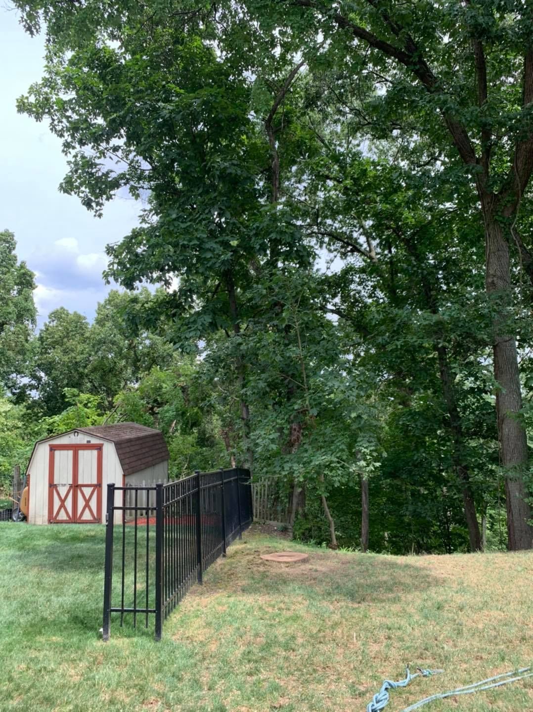 A barn with a red door is surrounded by trees and a fence.