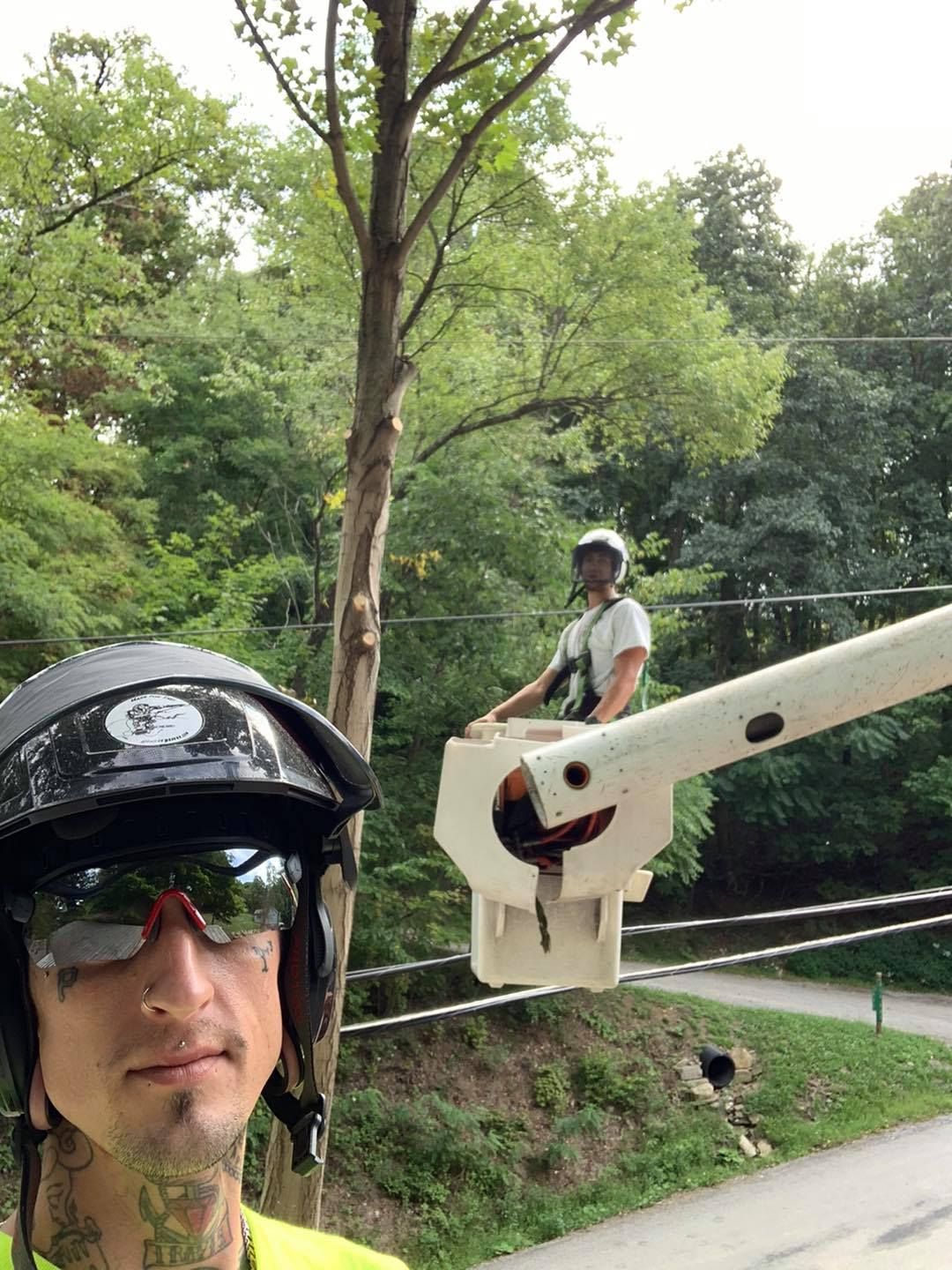 A man is standing in a bucket next to a tree.