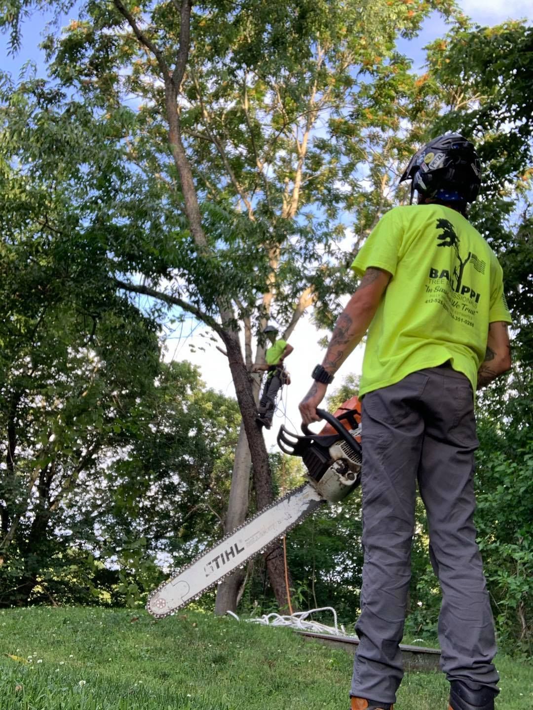 A man is holding a chainsaw in front of a tree.