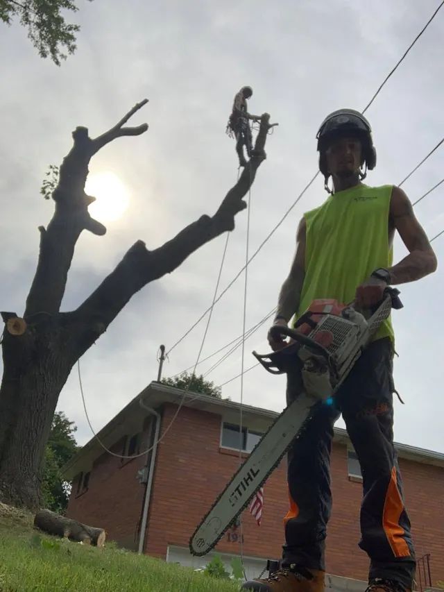 A man is holding a chainsaw in front of a tree