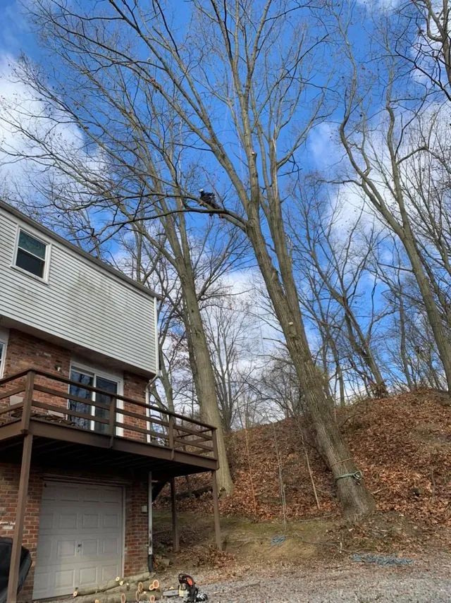 A house with a deck and a tree in front of it.