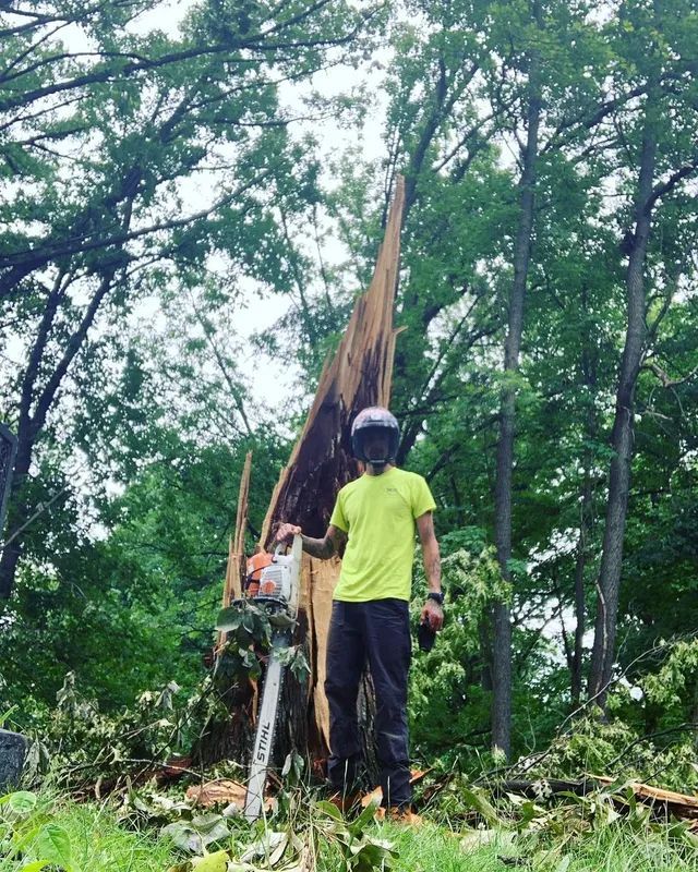 A man is standing next to a fallen tree with a chainsaw.