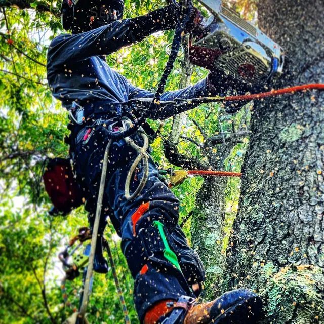 Woman in straw hat smiles, holding wine glass near a lake.