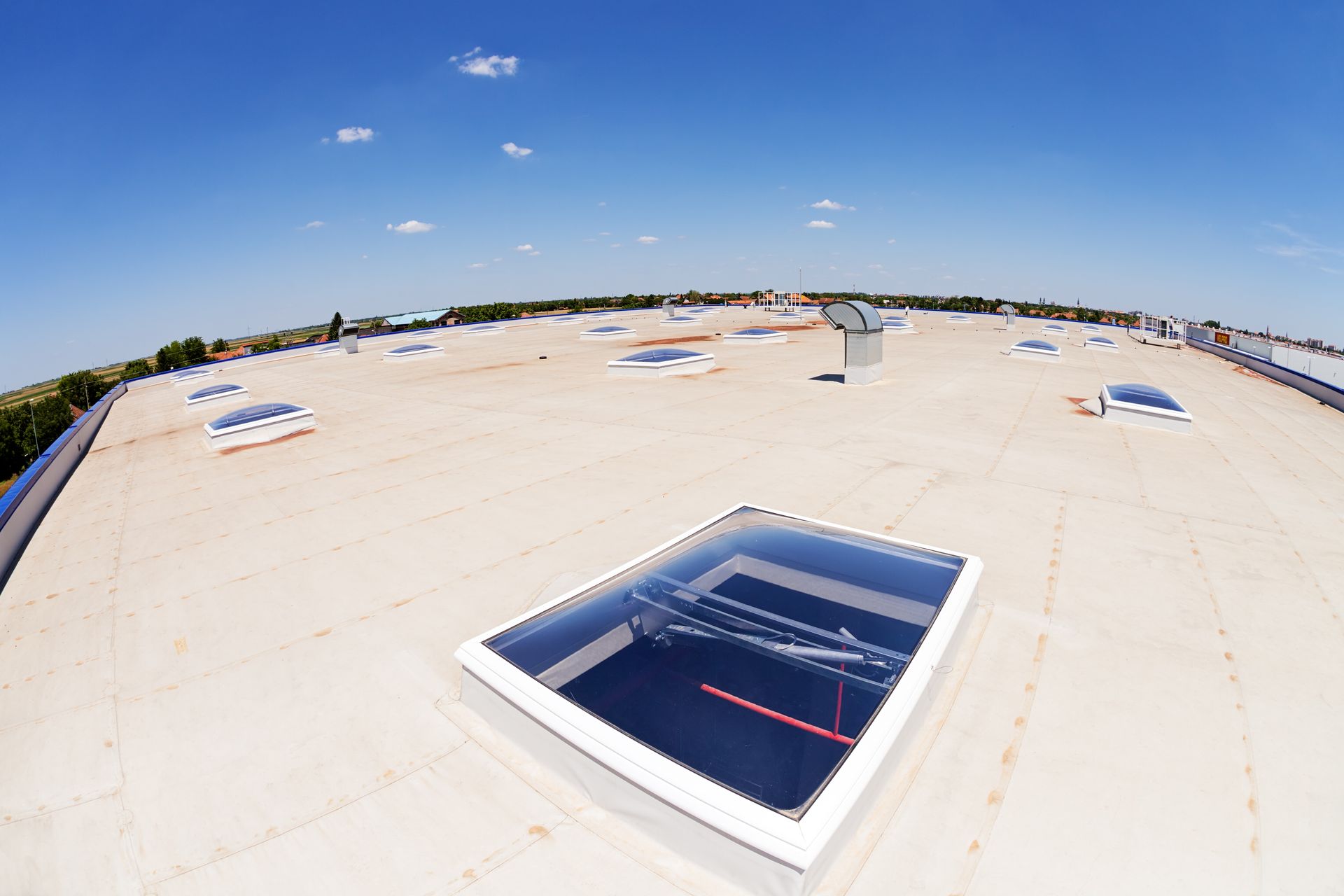 Wide view of a flat commercial rooftop with many skylights on a clear, blue day.