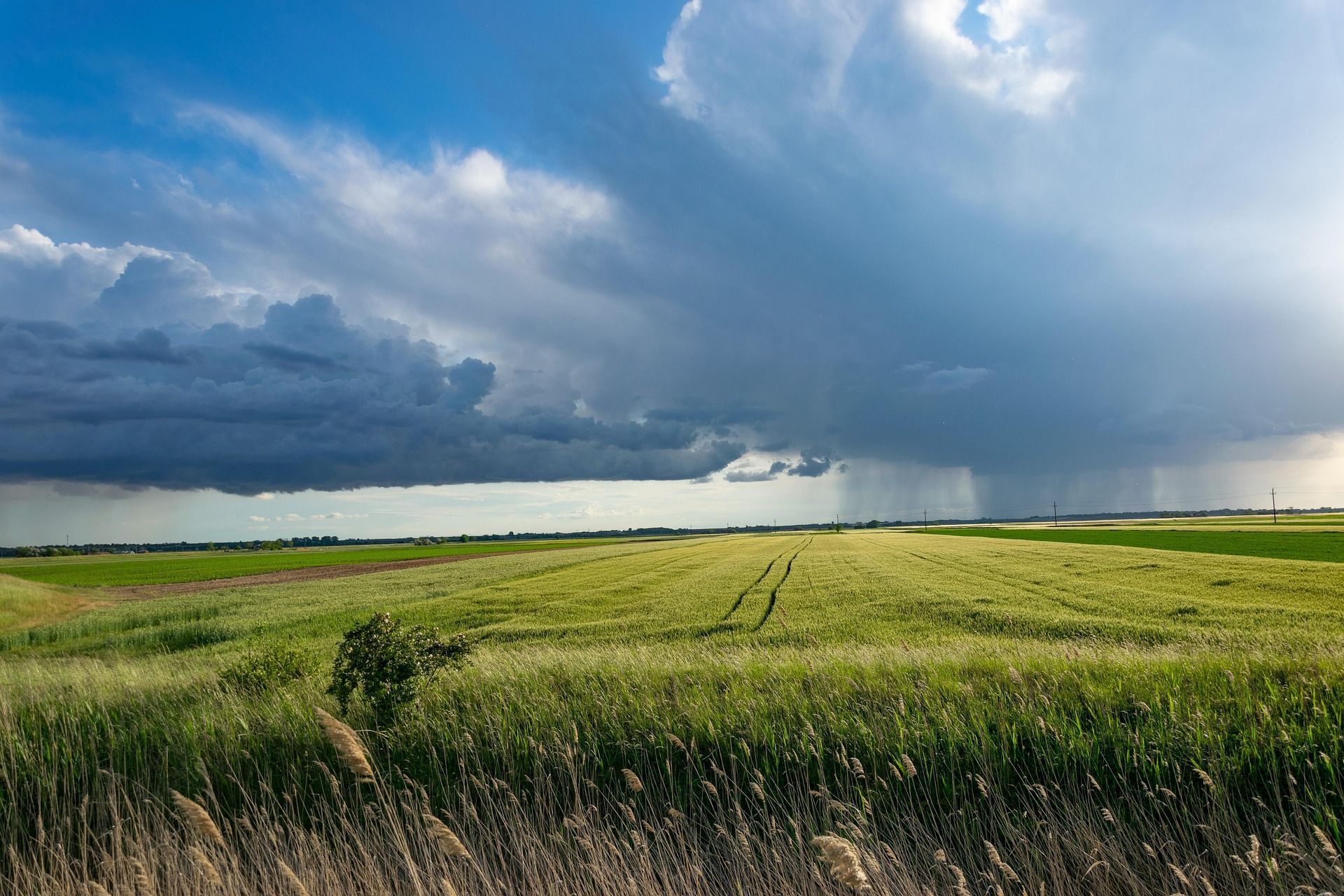 Green field under a dramatic sky with dark storm clouds and sunlight. Rain falls in the distance.