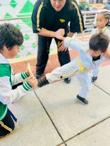 kids martial arts