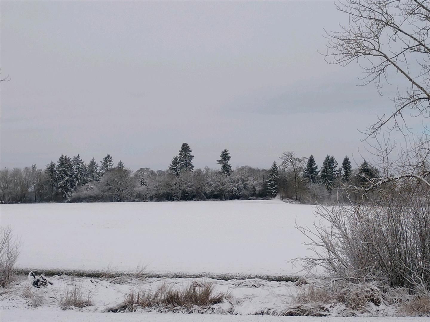 A snowy field with trees in the background | J&H Automotive