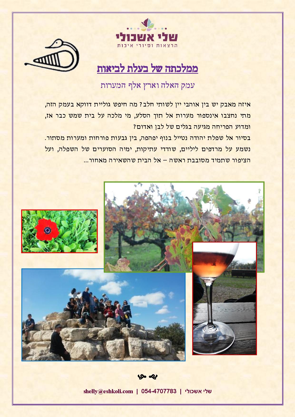 Poster for a winery with Hebrew text, pictures of a vineyard, group of people on rocks, and a wine glass.