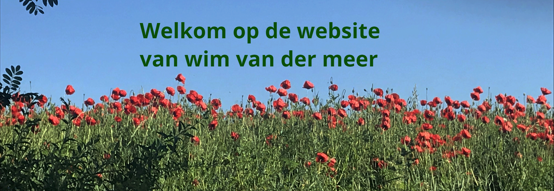 de website van wim