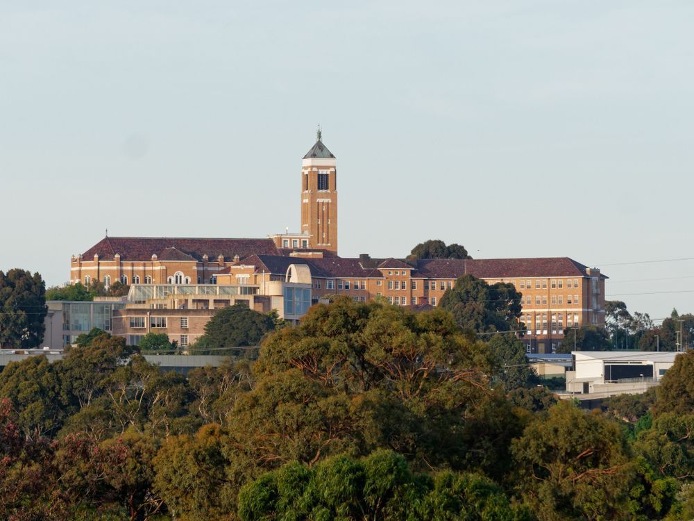 A Large Building With a Clock Tower is Surrounded by Trees — Bondi Removals and Taxi Trucks in Bellevue Hill, NSW