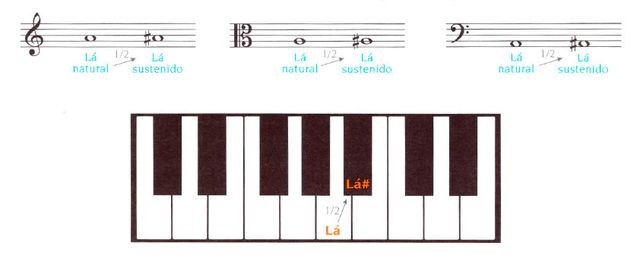 Curso online: Escalas maiores de 1 oitava para piano e órgão