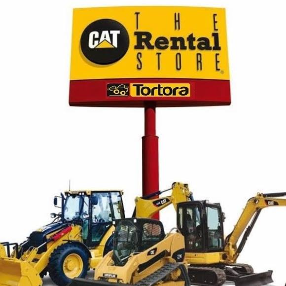 Escavatori a noleggio