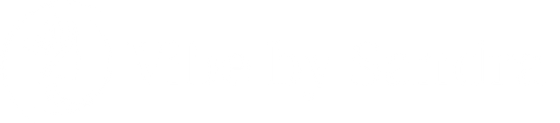 Vibe by Sandra logo