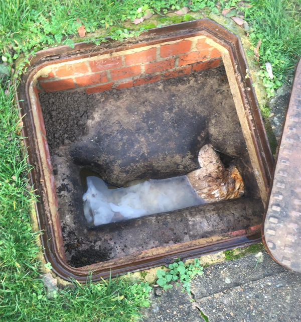 Clogged sewer