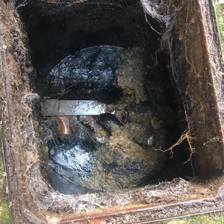 blocked sewer pipe