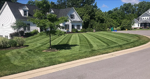 Lawn mowed in stripes in front of a white house with dark gray roof, next to a street with a house in the distance.