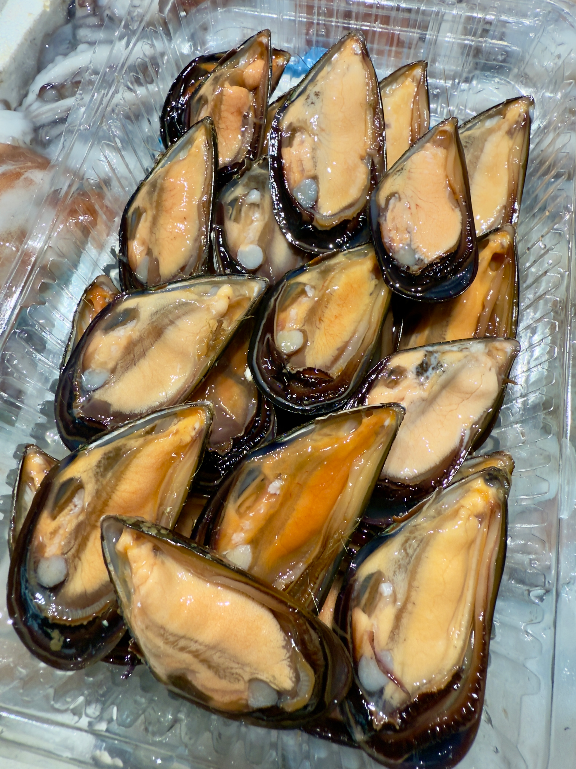 cozze