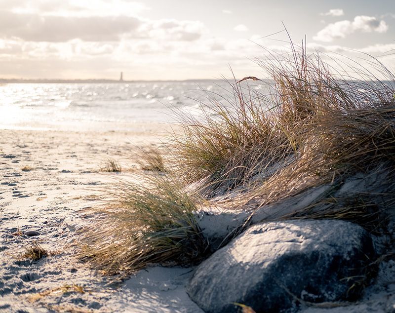 A sandy beach with rocks and grass and a body of water in the background