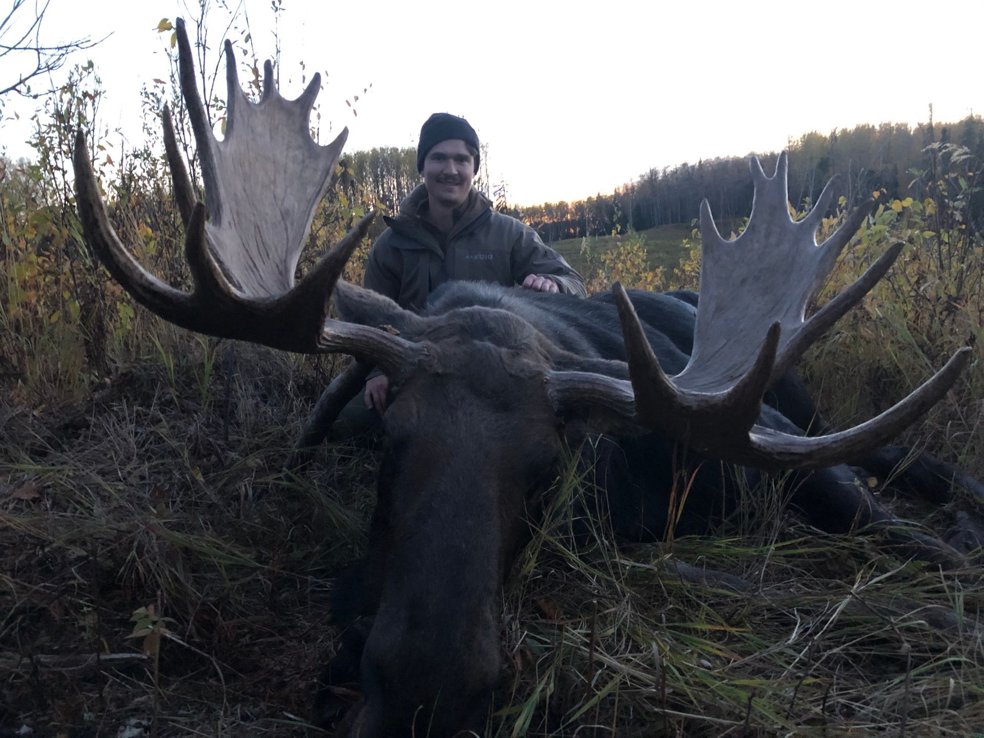 Alberta moose hunts in Canada