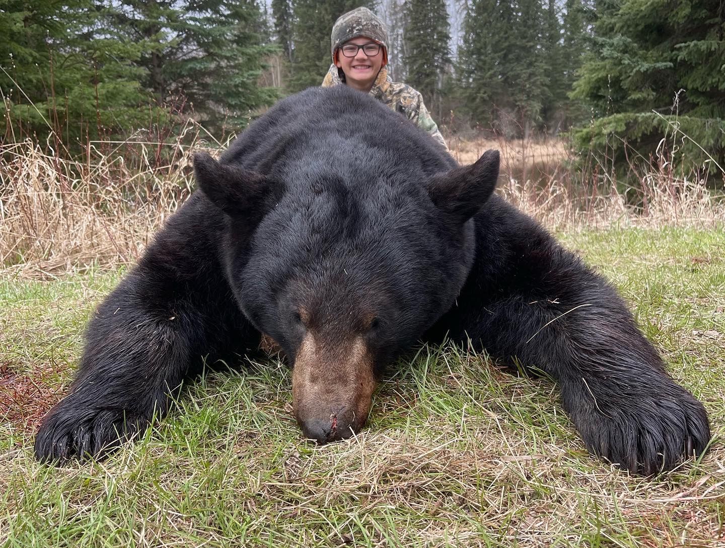 Guided Black Bear Hunts